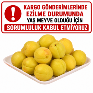 Taze Malatya Kayısı (Yaş Kayısı) 5 KG