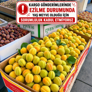 Taze Malatya Kayısı (Yaş Kayısı) 5 KG